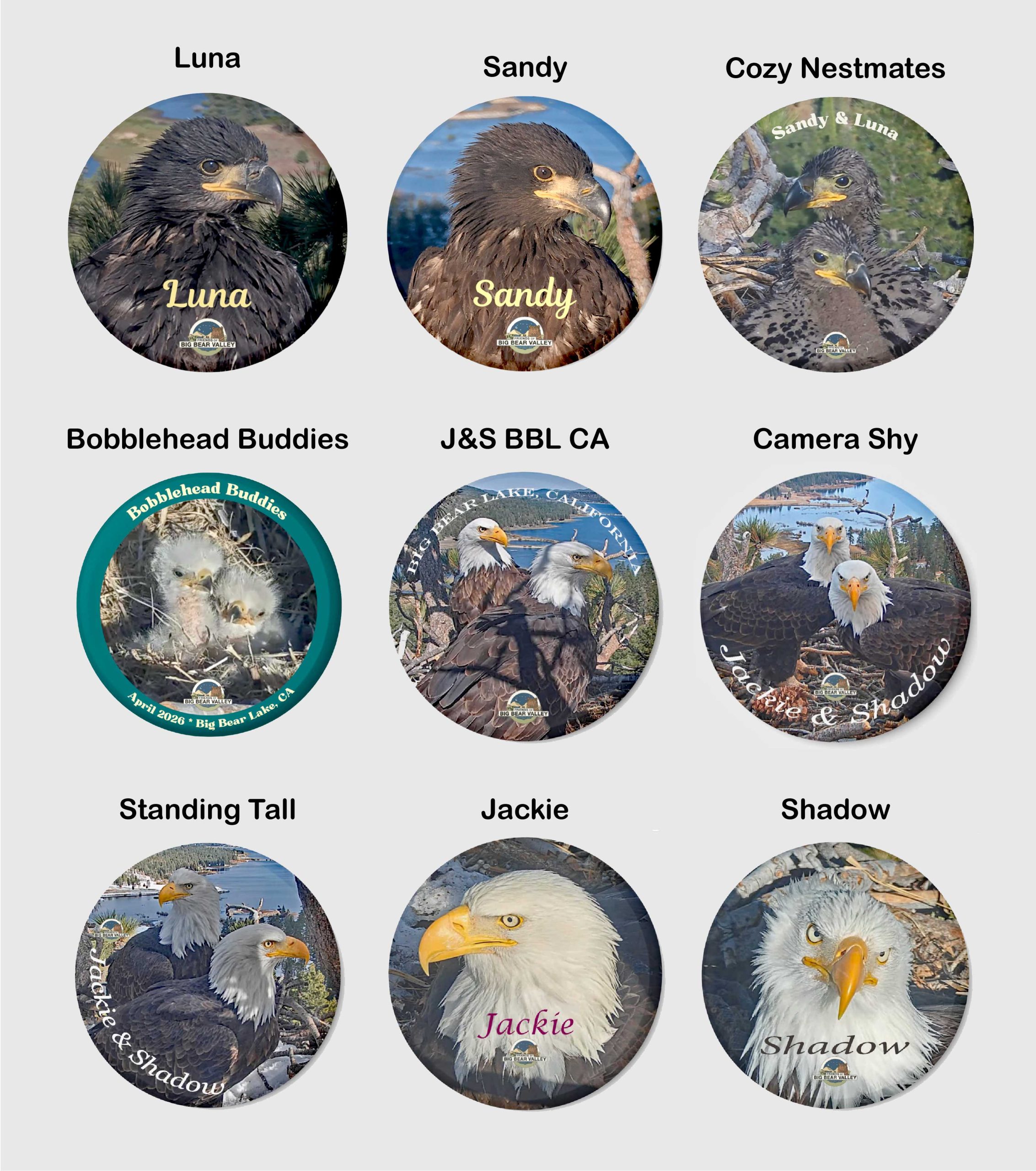 Magnets - Friends of Big Bear Valley