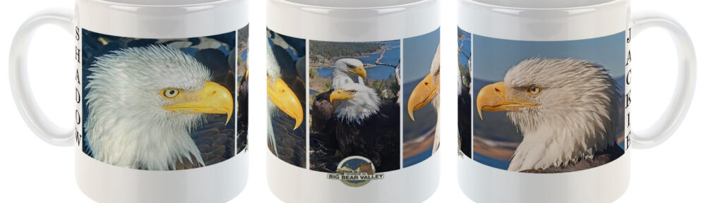 Mug - Trio 2024 Eagles