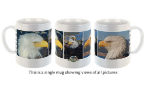 Mug - Trio 2024 Eagles