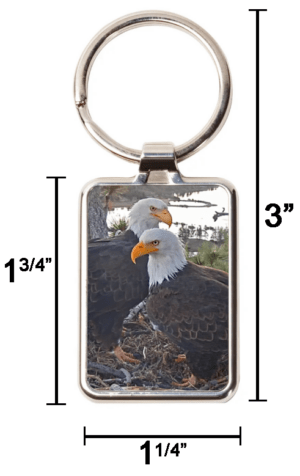 Keychain, solid steel frame and sturdy ring fastener, featuring Jackie and Shadow. Size indicated is approximate.